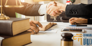 Establishing a limited liability company