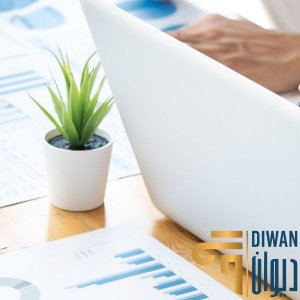 تأسيس شركة فردية