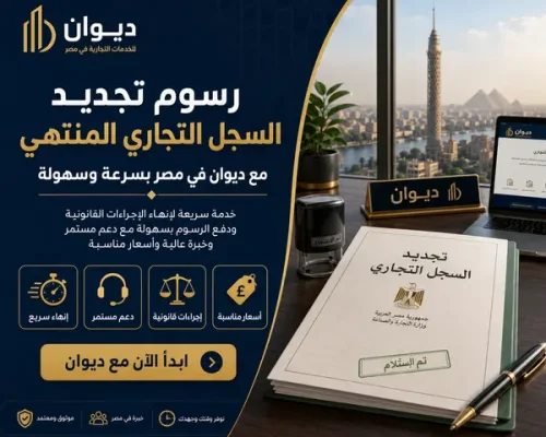 شركة الشخص الواحد